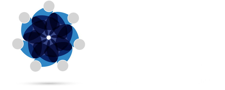 Business World Customs SAS